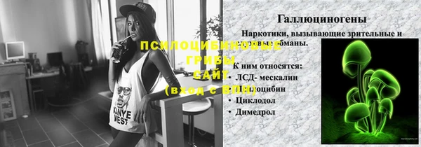 ПСИЛОЦИБИНОВЫЕ ГРИБЫ Козельск