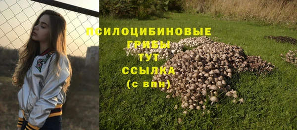 эйфоретик Козловка