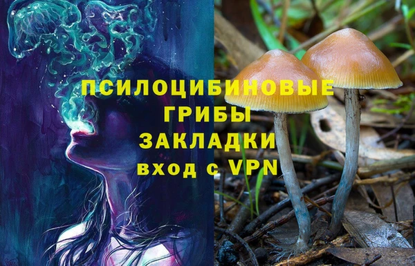 ПСИЛОЦИБИНОВЫЕ ГРИБЫ Козельск