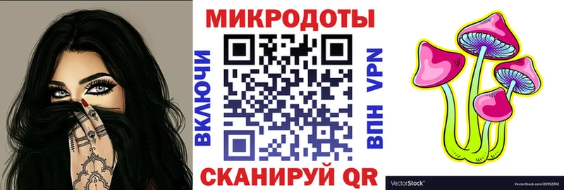 Галлюциногенные грибы Psilocybe  Купить закладки  Мостовской 